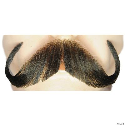 Featured Image for Handlebar Mustache – Blend