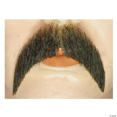 Featured Image for Walrus Mustache – Blend