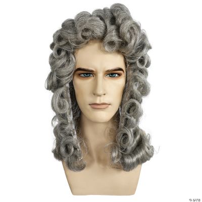 Featured Image for Discount Judge Wig
