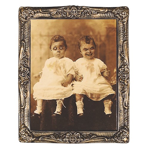 Featured Image for 17″ x 21″ Twins Holograph Portrait