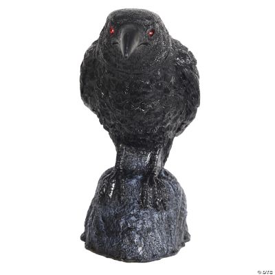 Featured Image for Raven Head Turning with Sound