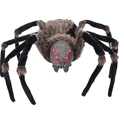 Featured Image for 53″ Light-Up Black Spider