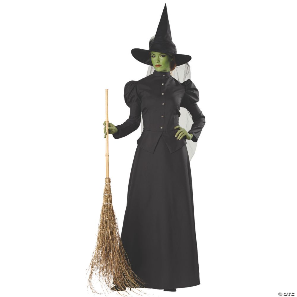 Women's Deluxe Classic Witch Costume - Large