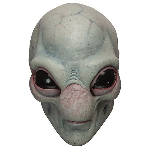 Featured Image for Visitor Adult Mask
