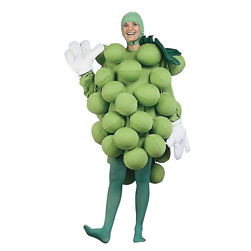 Featured Image for Grapes Costume