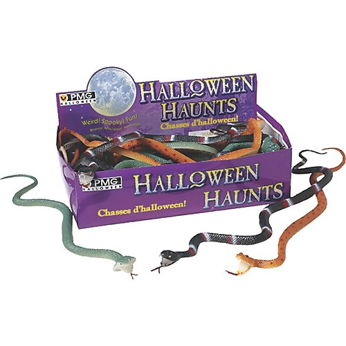 Featured Image for Snakes Display Box of 24
