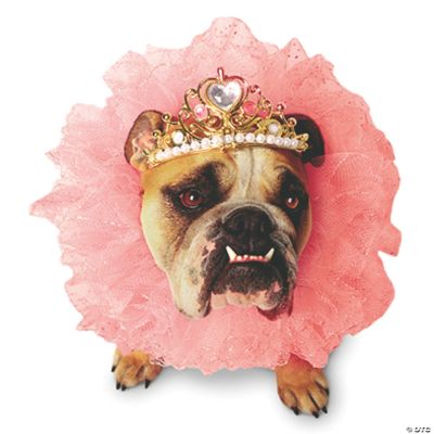 Queen Dog Costume Discontinued