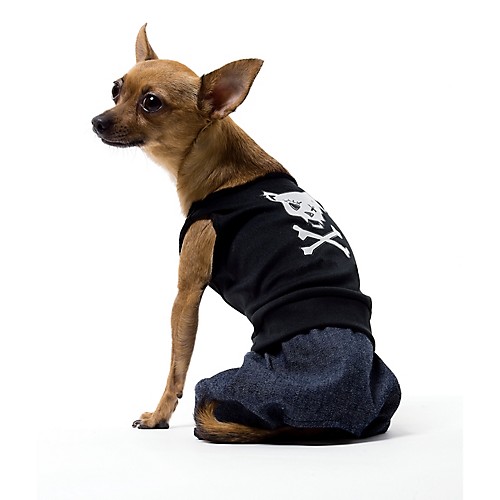 Featured Image for Bad Boy Dog Costume