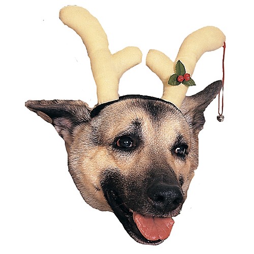 Featured Image for Dog Reindeer Antlers