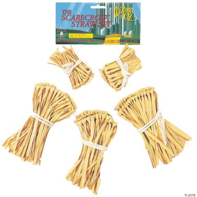 Featured Image for Scarecrow Straw Kit – Wizard of Oz