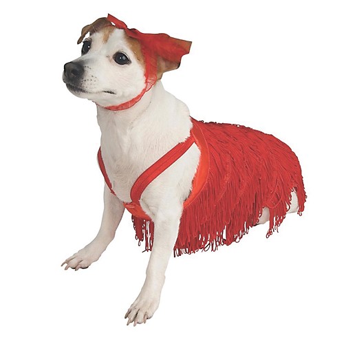 Featured Image for Flapper Pet Costume