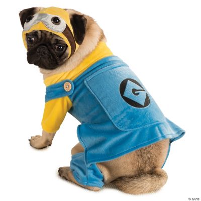 Featured Image for Minion Pet Costume – Despicable Me 2
