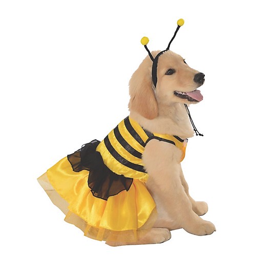 Featured Image for Baby Bumblebee Pet Costume