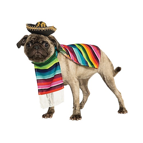 Featured Image for Mexican Serape Pet Costume
