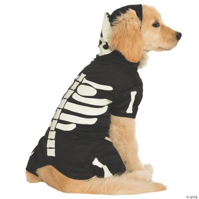 Featured Image for Glow-In-The-Dark Skeleton Pet Costume