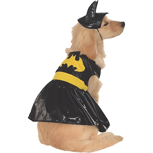 Featured Image for Batgirl Pet Costume