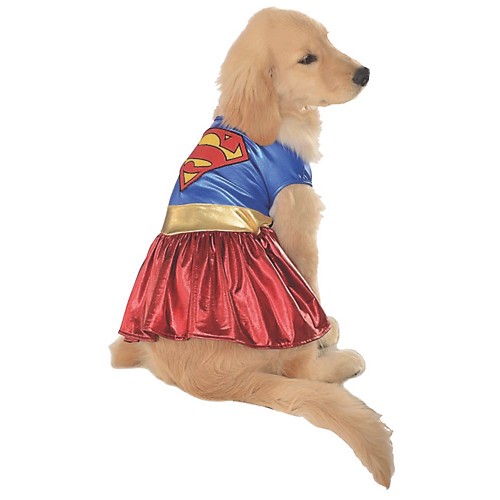 Featured Image for Supergirl Pet Costume