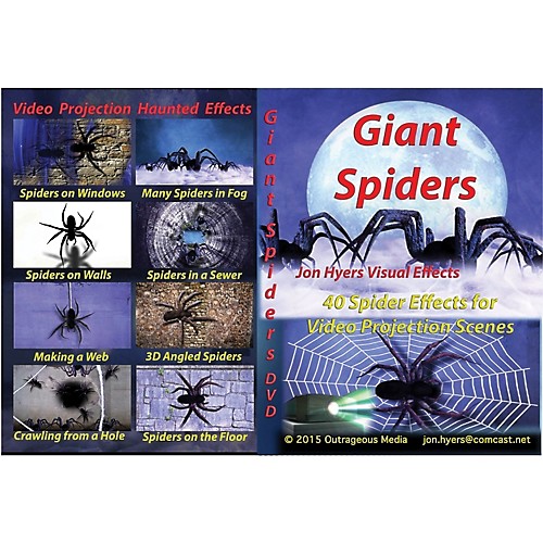 Featured Image for DVD Giant Spiders Crawling