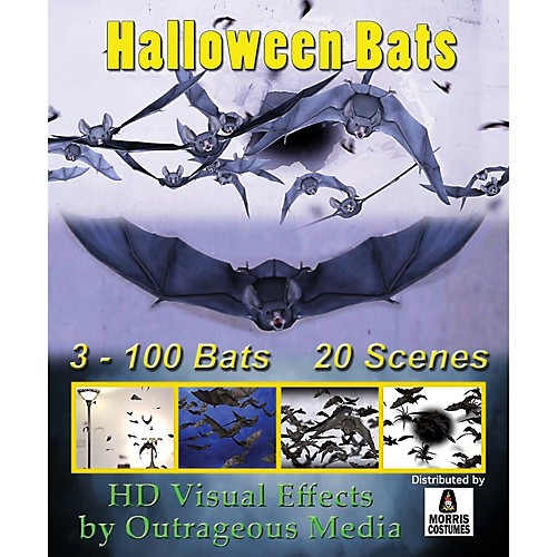 Featured Image for Halloween Bats Digital Decor USB