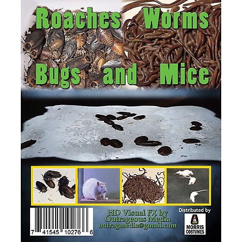 Featured Image for Roaches, Worms, Mice Digital Décor