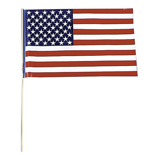 Featured Image for Flag Plastic USA – Pack of 12