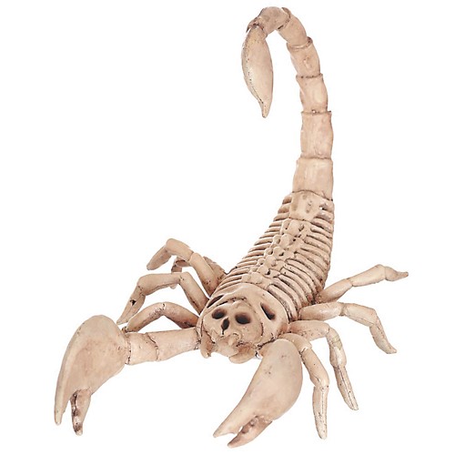 Featured Image for Scorpion Skeleton