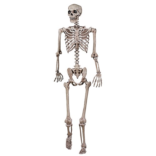 Featured Image for 62″ Skeleton Poseable