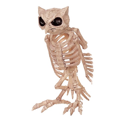 Featured Image for Skeleton Owl