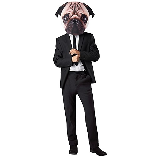 Featured Image for Pugs Life Head