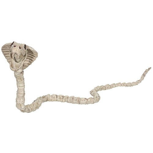 Featured Image for Skeleton Cobra