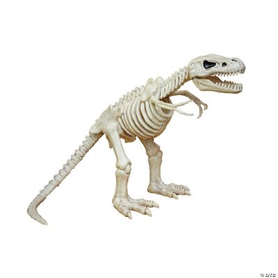 Featured Image for 16″ T-Rex Skeleton
