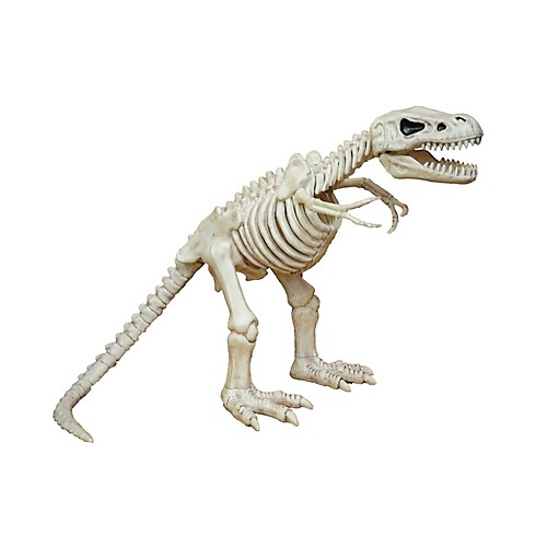 Featured Image for 16″ T-Rex Skeleton