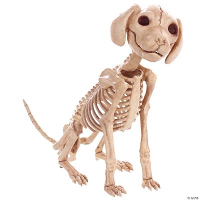 Featured Image for Puppy Sitting Skelebones