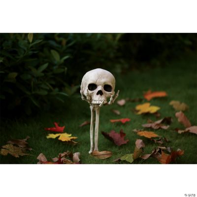Featured Image for Skull in Hand Groundbreaker