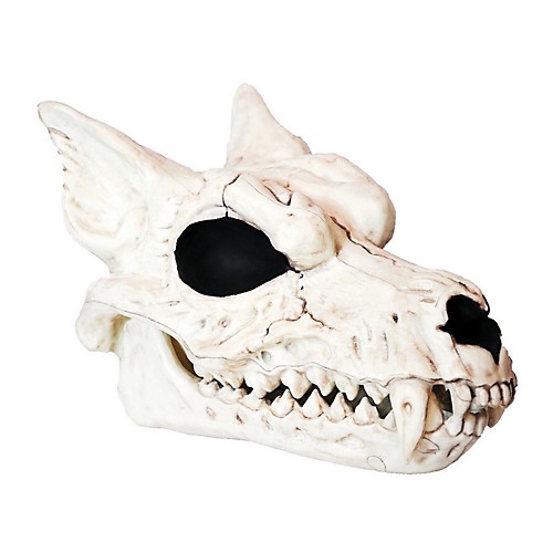 Featured Image for Werewolf Skull