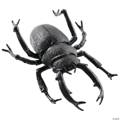 Featured Image for 8″ Black Beetle