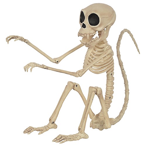 Featured Image for Skeleton Monkey