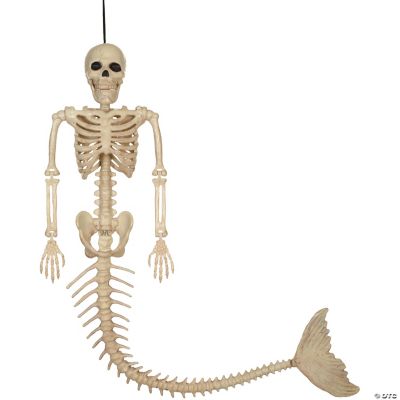 Featured Image for Mermaid Skeleton