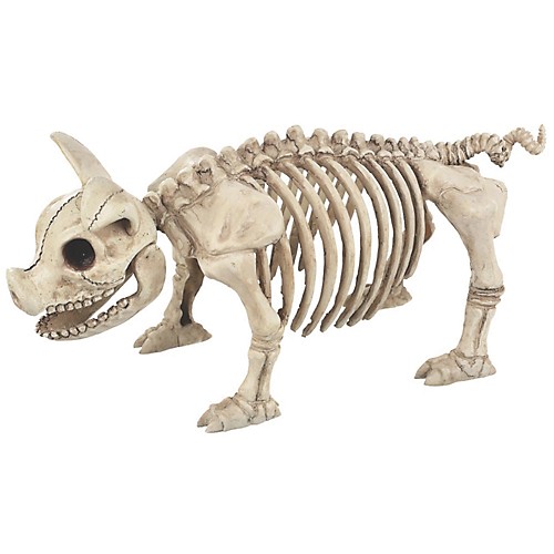 Featured Image for Pig Skeleton
