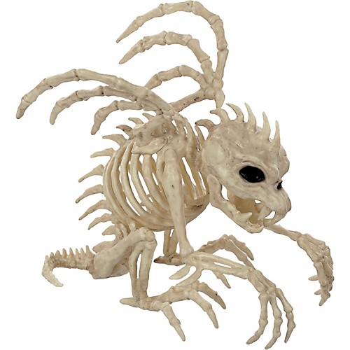 Featured Image for 10″ Skeleton Gargoyle Prop