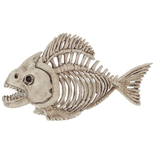 Featured Image for 5″ Skeleton Fish