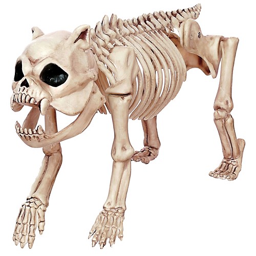 Featured Image for Skeleton Bones The Dog Prop