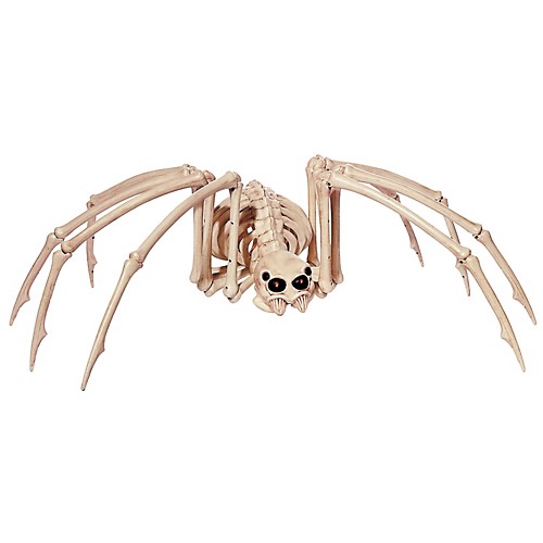 Featured Image for Skeleton Spider Light-Up Eyes
