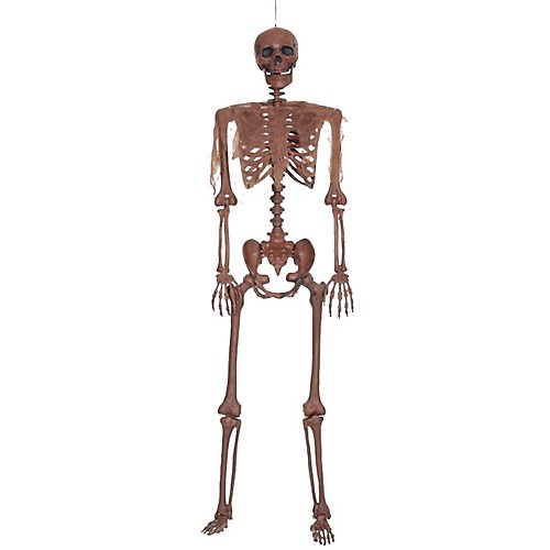 Featured Image for Decayed Pose N Stay Skeleton