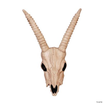 Featured Image for Skeleton Gazelle Head