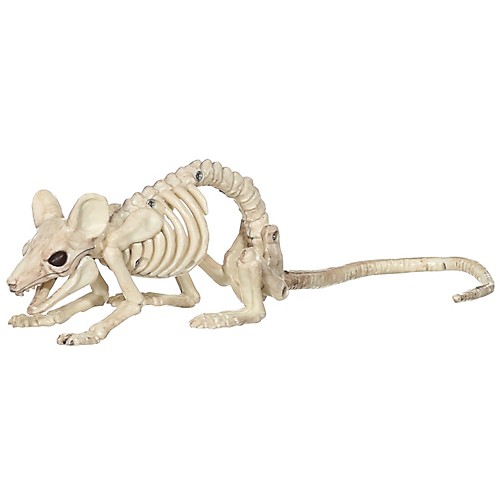 Featured Image for Mouse Crawling Skeleton