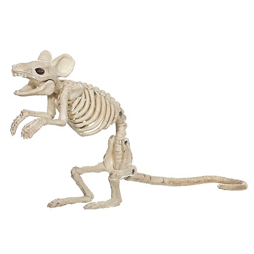 Featured Image for Mouse Standarding Skeleton