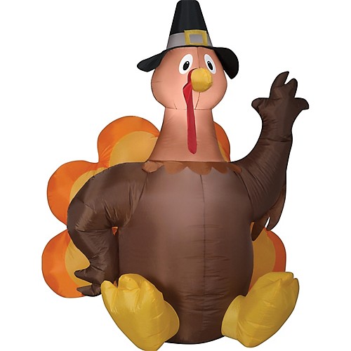 Featured Image for Airblown Harvest Turkey – Large