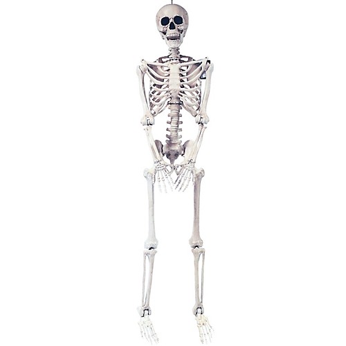 Featured Image for 5′ Skeleton Pose & Hold