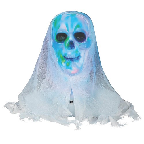 Featured Image for Lightshow Skull Bust with White Face
